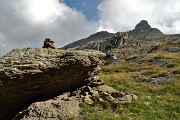 81 Salgo seguendo il tracciolino con vista sul torrione del Pizzo delle Orobie